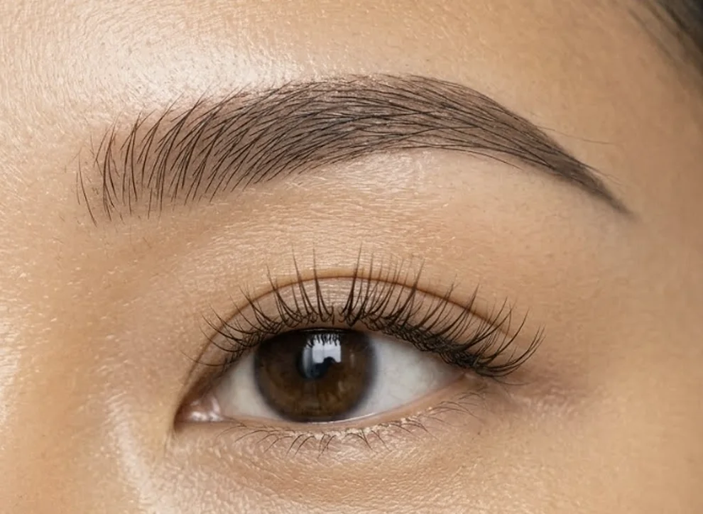 Close-up of a shaped eyebrow