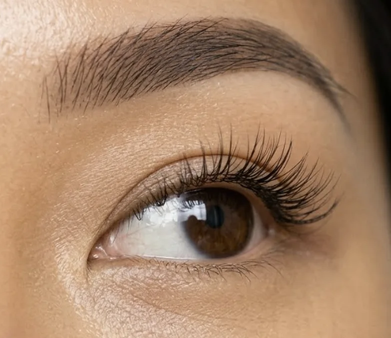 Curled natural lashes after a lash lift